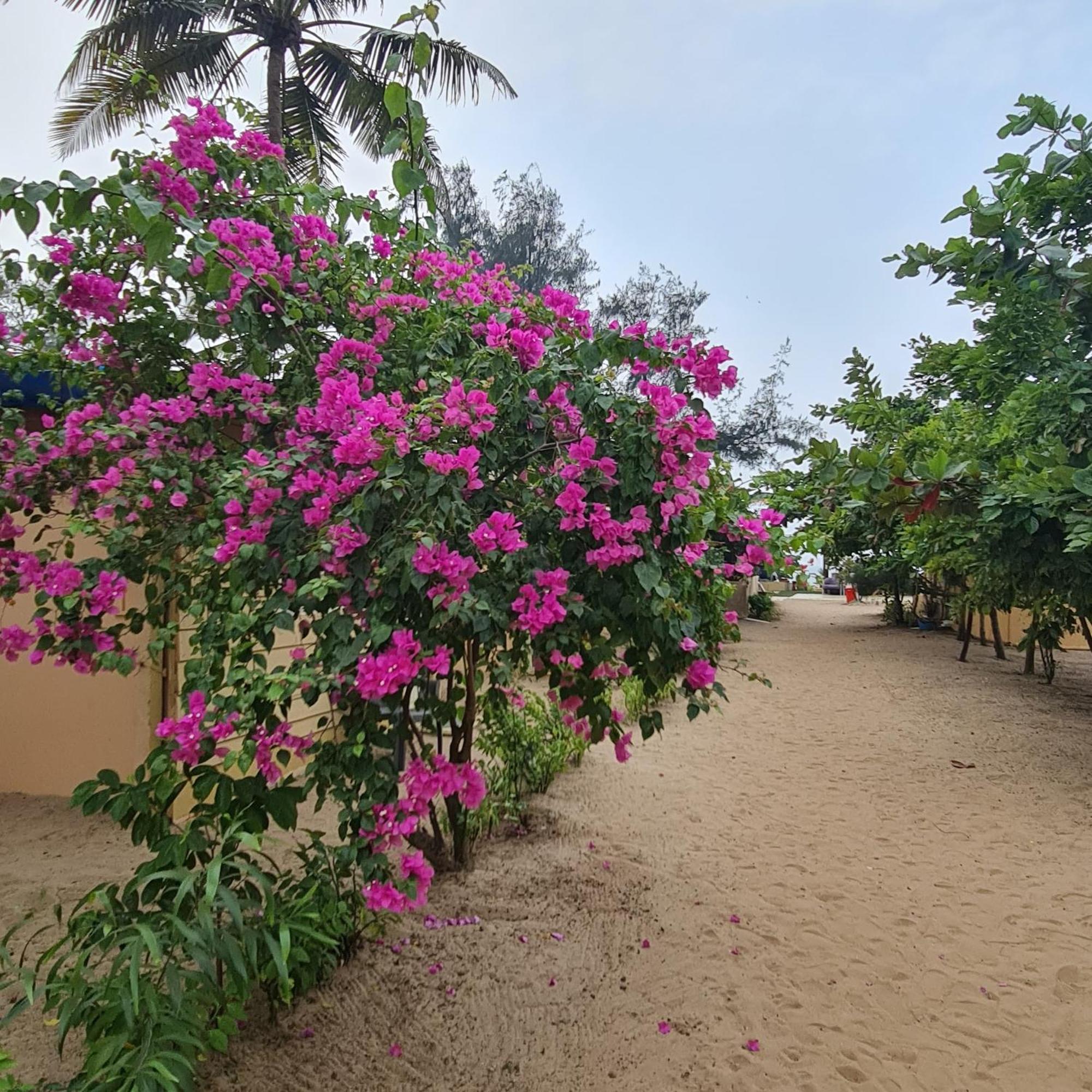 Love Temple Beach Resort Arambol Eksteriør billede